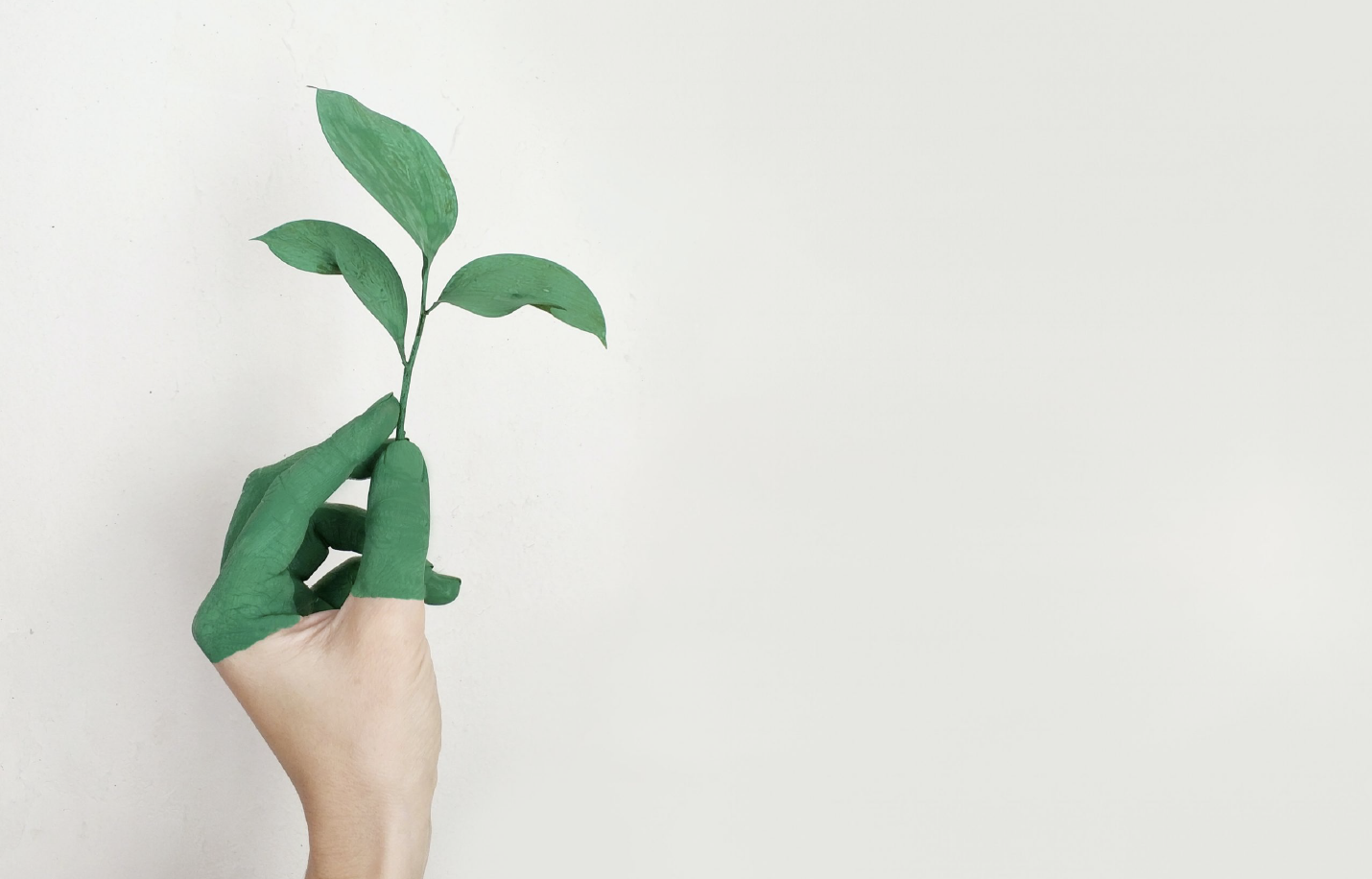 The AI platform that reduces the carbon footprint of your Data projects