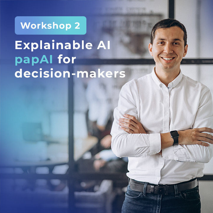Workshop2: Explainable AI papAI for decision-makers