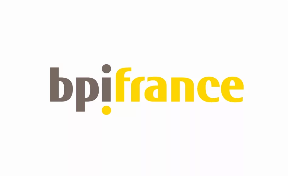 bpi france datategy